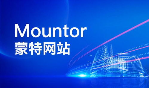 網(wǎng)站建設避坑指南 2025年國內(nèi)網(wǎng)站設計開發(fā)公司全解析